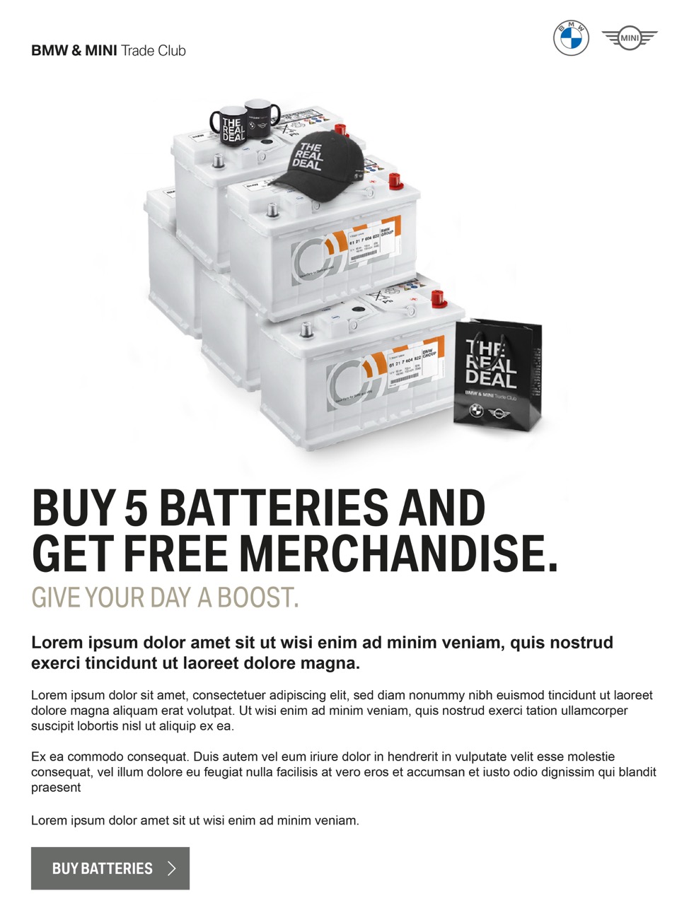 BMW MINI Project Image Real Deal Email